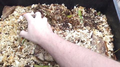 Compost Bin with food scraps, grass cuttings and dry leaves. Stock Footage 158564310