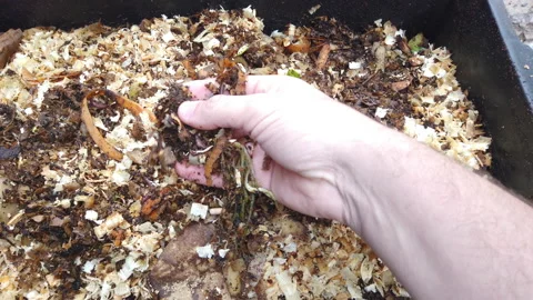 Compost Bin with food scraps, grass cuttings and dry leaves. Stock Footage 158564321