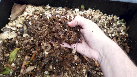 Compost Bin with food scraps, grass cuttings and dry leaves. Stock Footage 158564403