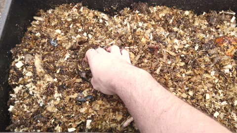 Compost Bin with food scraps, grass cuttings and dry leaves. Stock Footage 159085675