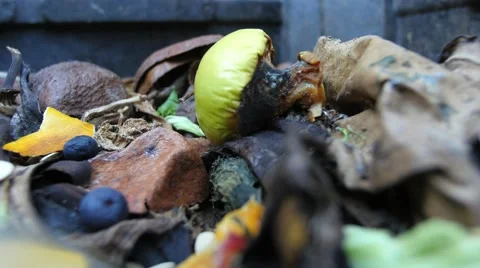 Compost bin lettuce toss Vídeos de archivo 54527025