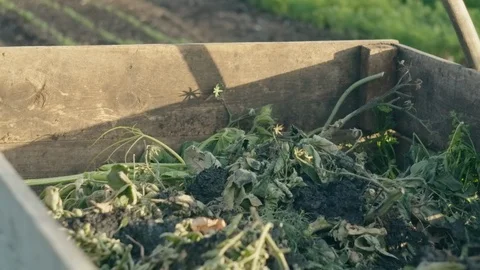 Compost bin in organic garden Stock Footage 114763601