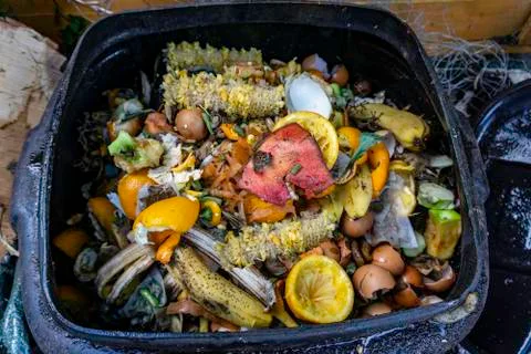 A Compost Bin Stock Photos