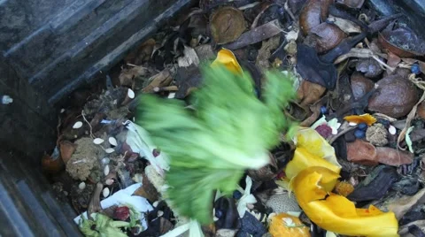 Compost bin veggie toss tight Vídeos de archivo 54527036