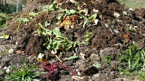 Compost - Biodegradable Waste Stock Footage 87251282