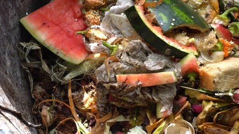 Compost box. Food loss reduction. Zero waste. Recycling and composting Stock Footage 114016877