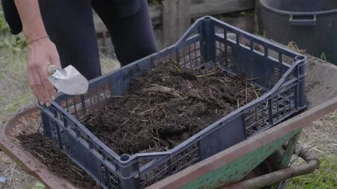 Compost, composting. Filtering the compost Stock Footage 218194957