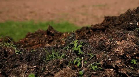 Compost, with a field behind Stock Footage 10916879