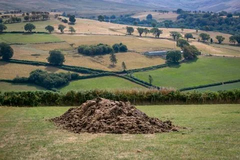 Compost in a field Stock Photos