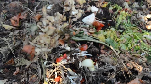 Compost Stock Footage 144482912