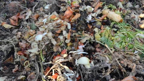 Compost Stock Footage 144482991