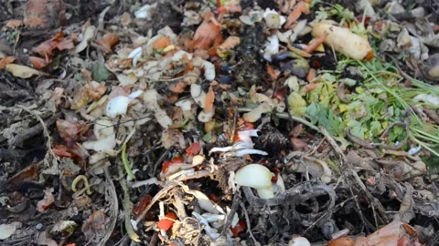 Compost Stock Footage 144483699
