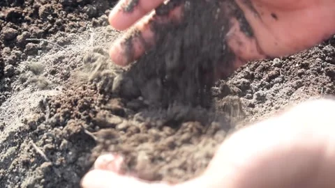 COMPOST Stock Footage 294157796