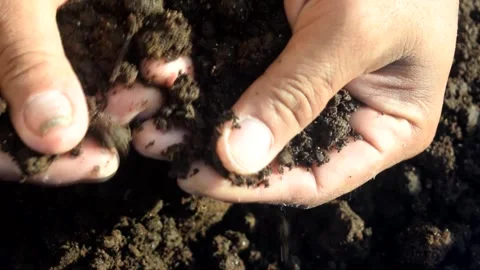 COMPOST Stock Footage 294157797