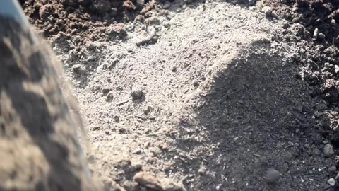 COMPOST Stock Footage 294157798