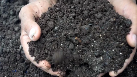 COMPOST Stock Footage 294158610