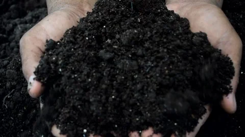 COMPOST Stock Footage 294158613