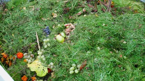Compost heap close up, top view. Smooth camera movement Stock Footage 231362677