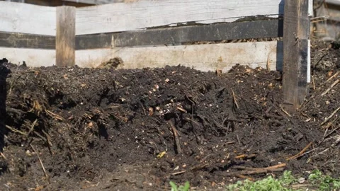 Compost heap with dark soil and plant waste near wooden fence in garden Video stock 342736137
