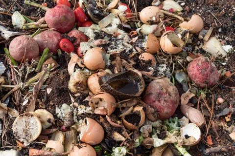 Compost heap of decaying kitchen fruit and vegetable scraps Stock Photos