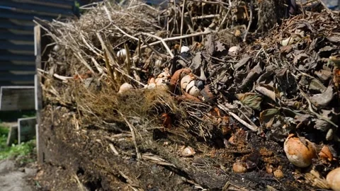 Compost heap with dry branches food scraps and eggshells decomposing close-up Stock Footage 341406874