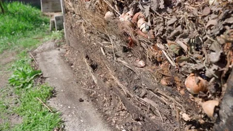 Compost heap with dry plant waste and food scraps in garden Видео 339761609