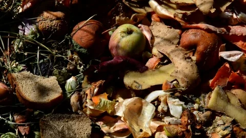 Compost heap Stock Footage 328581680