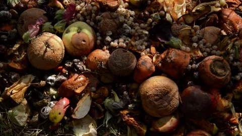Compost heap Stock Footage 328641623