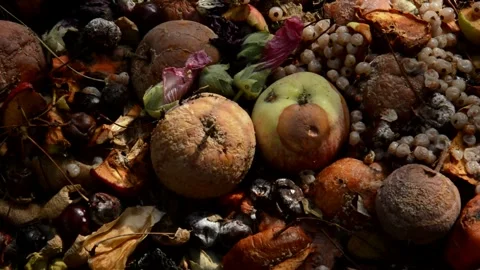 Compost heap Stock Footage 328641690