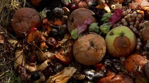 Compost heap Stock Footage 328641704