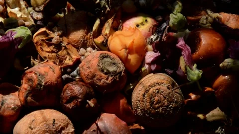 Compost heap Stock Footage 328646691