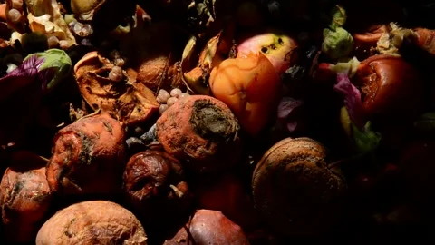 Compost heap Stock Footage 328646714