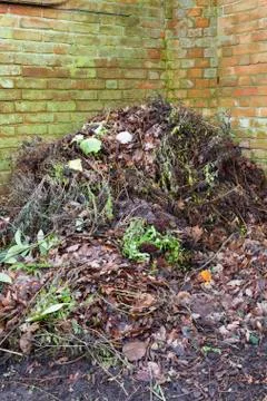 Compost heap, garden compost Stock Photos