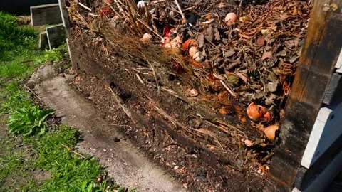 Compost heap with kitchen scraps and eggshells in wooden bin Vídeos de archivo 341748029