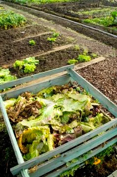 Compost heap Stock Photos