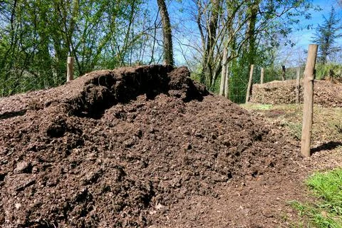 Compost Heap. Stock Photos