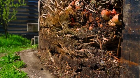 Compost heap with plant residues in backyard next to garden path Stock-Footage 342604079