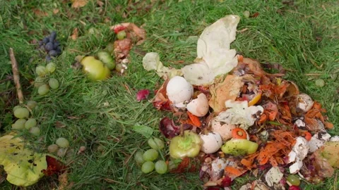 Compost heap on a private plot, top view. Food waste Stock Footage 240601160