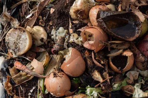 Compost heap with rotting fruit, vegetable, and eggshell scraps Stock Photos