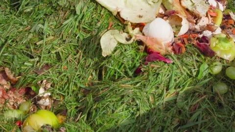 Compost at home to create humus from organic and food waste, close-up. Smooth Stock Footage 236921983