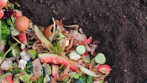 Compost Ingredients To Create Rich Black Soil Stock Footage 92839825