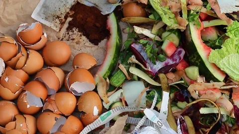 Compost Ingredients Stock Footage 92839744