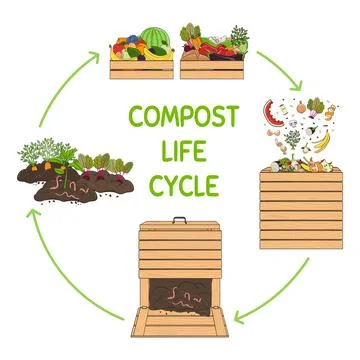 Compost life circle infographic. Composting process. Schema of recycling orga Stock Illustration
