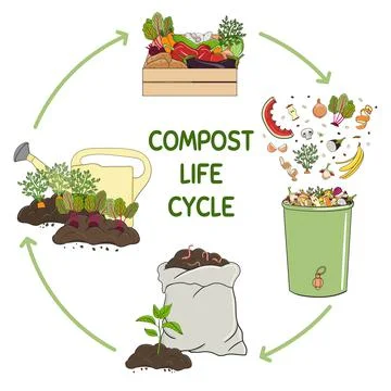 Compost life circle infographic. Composting process. Schema of recycling orga Stock Illustration