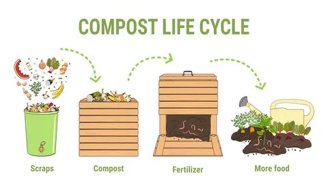 Compost life circle infographic. Composting process. Schema of recycling orga Stock Illustration