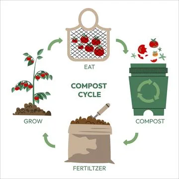 Compost life circle infographic. Composting process. Recycling organic waste 스톡 일러스트