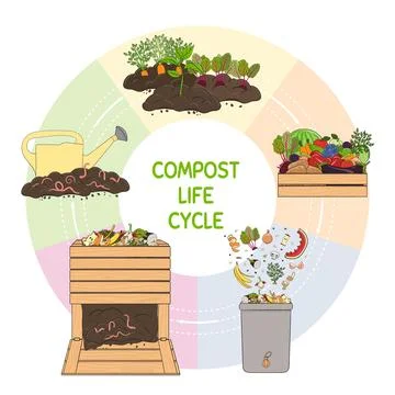 Compost life circle infographic. Schema of recycling organic waste from col.. Stock Illustration