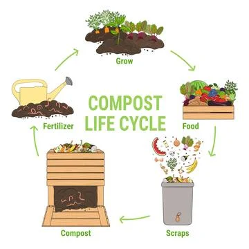 Compost life circle infographic. Schema of recycling organic waste from col.. Stock Illustration
