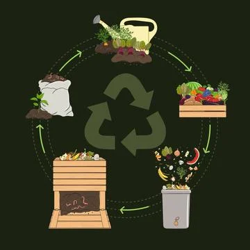 Compost life circle infographic. Schema of recycling organic waste from col.. Stock Illustration