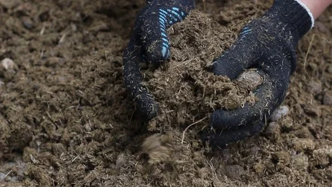 Compost manure for the home garden Stock Footage 79444235